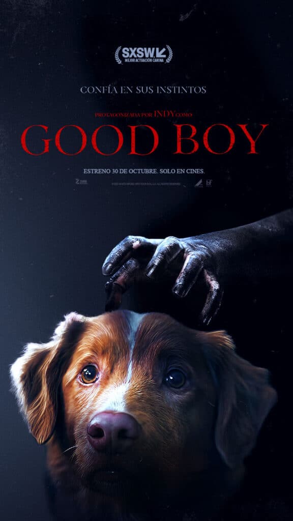 Good Boy